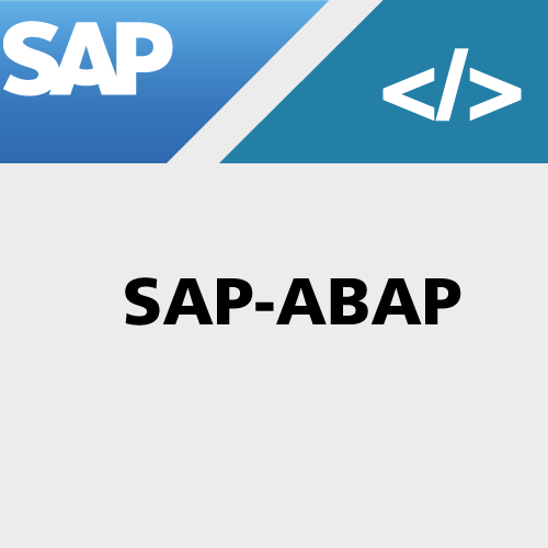 SAP ABAP - Caleo unterstützt mit fachlicher und technischer Kompetenz