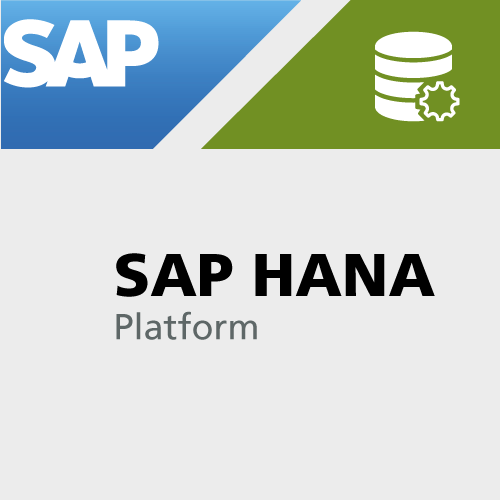 SAP HANA Platform - Caleo unterstützt mit fachlicher und technischer Kompetenz